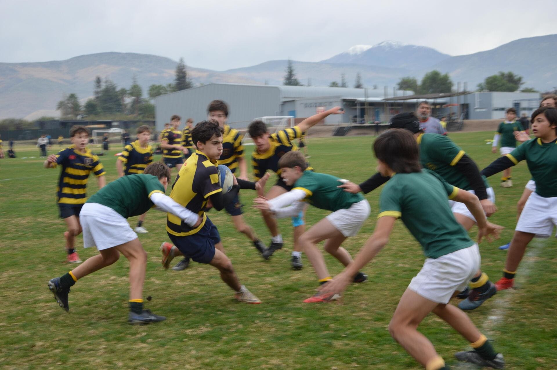 RUGBY WEB 2